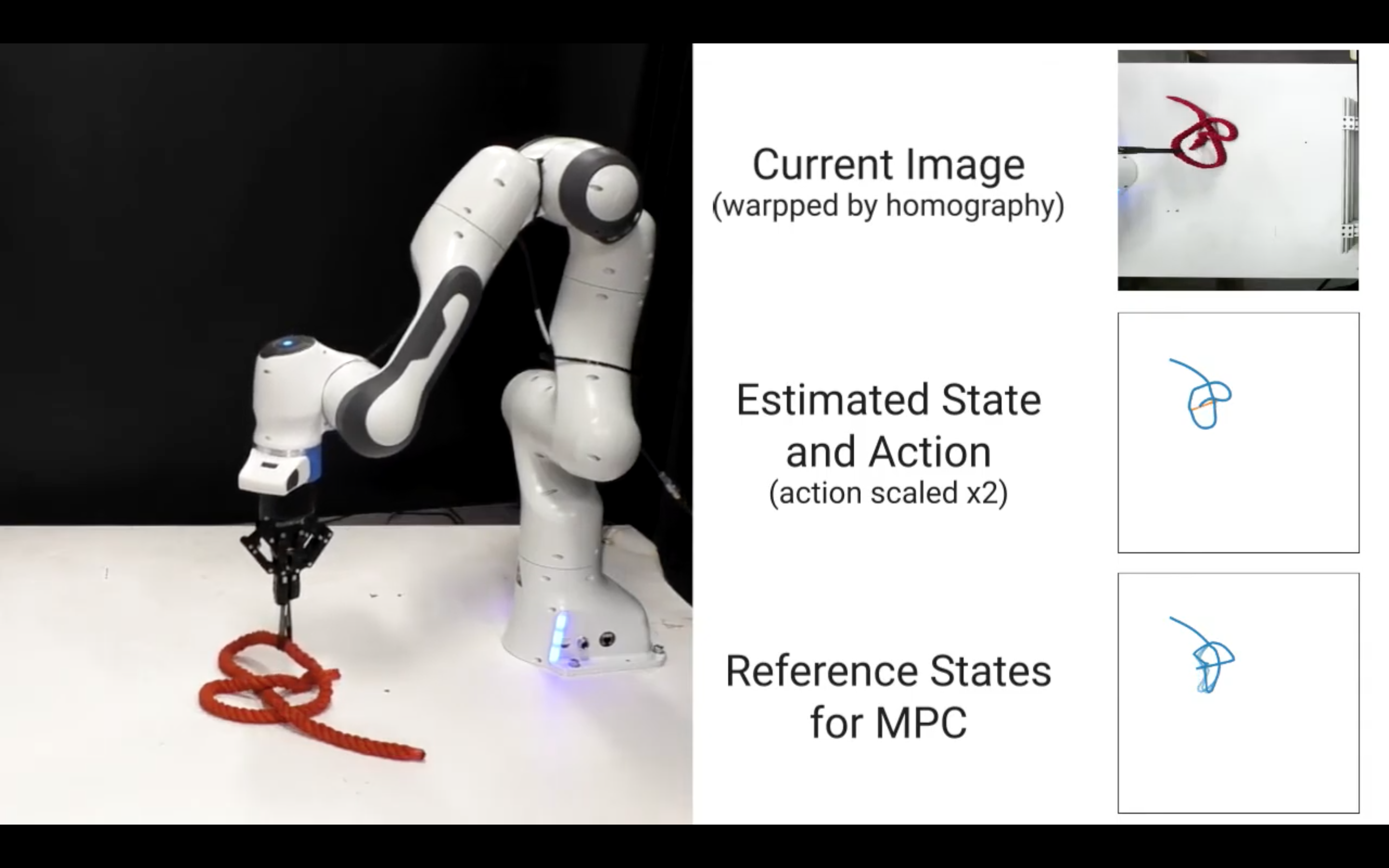 Learning Topological Motion Primitives for Knot Planning